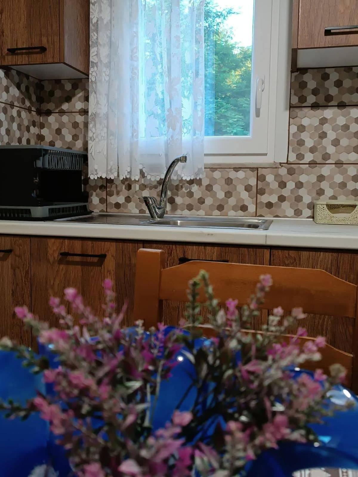 カランバカ Billy'S Houseヴィラ エクステリア 写真